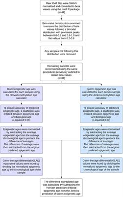 Tissue specific age acceleration patterns in the sperm of oligozoospermic men